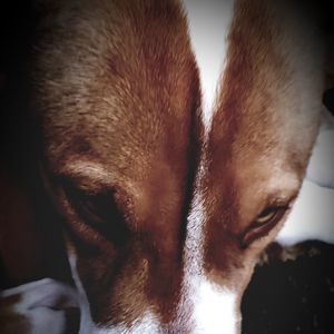 Meet your Posher, Phil